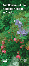 Wildflowers of the National Forests in Alaska brochure cover.