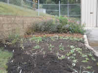 Tell City Ranger District Pollinator Garden.