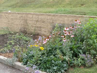 Tell City Ranger District Pollinator Garden.