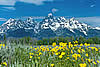 Grand Tetons