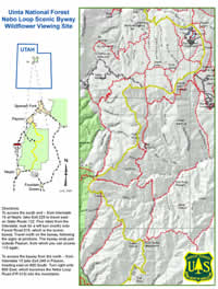 Thumnbail map and directions to the Viewing Area.