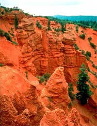 A Devil's Kitchen, along the Mt. Nebo Scenic Byway.