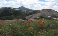 View of Black butte from the Ruby Creek overlook.