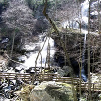 Apple Orchard Falls.