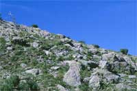 A fellfield alpine tundra on Lookout Mountain in southeastern New Mexico.