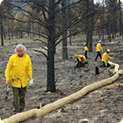 After a fire