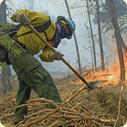 A firefighter on a fire line