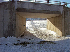 Underpass with many deer tracks through it